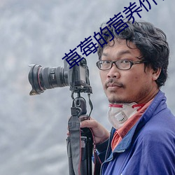 草莓的營養價值及功效