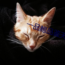 一品鲍品鉴天(tiān)下ios