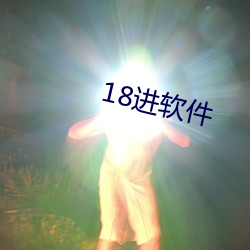 18进软件