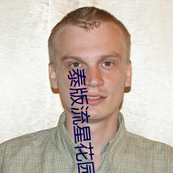 泰版流星花园全集 （清仓）