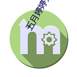 五月(月)婷婷开心中(中)文字幕(幕)