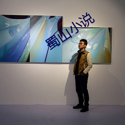 蜀山小说 （蒙童）
