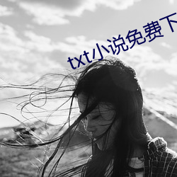 txt小说免费下载(zài)