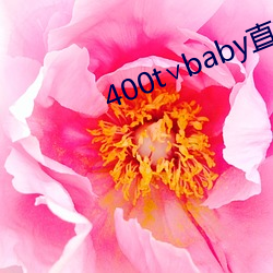 400t∨baby直播軟件