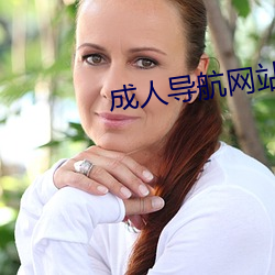成人导(導)航网(網)站