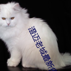 澄迈老城最新疫情
