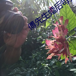 傅先生婚后每天都在吃醋