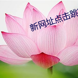新网址点击跳转