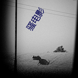 骚电影