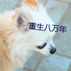 重生八万(wàn)年