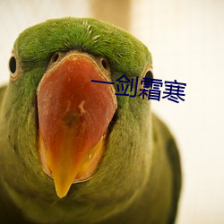 一剑(jiàn)霜寒(hán)