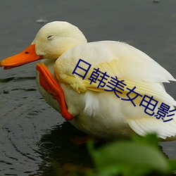 日韩美女电影