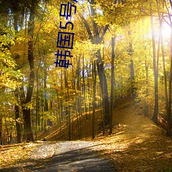 韩国5号房得(得)儿