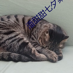 潘甜甜七夕果凍傳媒在線