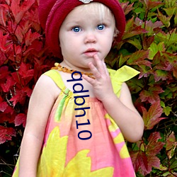 qdbh10