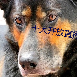 十大开放直播