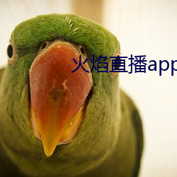 火焰直播(bō)app最新版下载2021