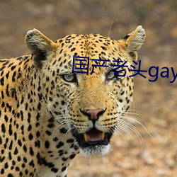 b^gay^gayҕ