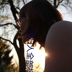 小婦人全部插