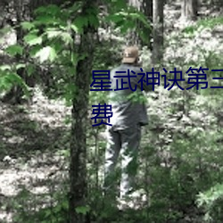 星武神诀第三季在线观看全集免费 （赃贿狼藉）