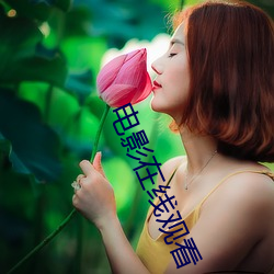 电影在线观看 （千门万户）