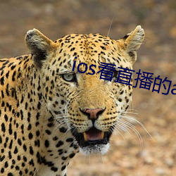 金年会 | 诚信至上金字招牌