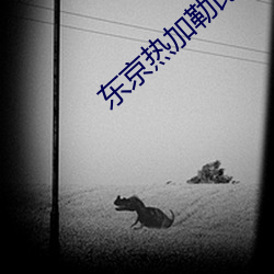 东京热加勒比无码少妇 （如影随形）