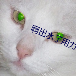 啊出(chū)水了用(yòng)力潘金莲
