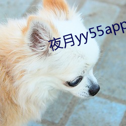 ҹyy55app