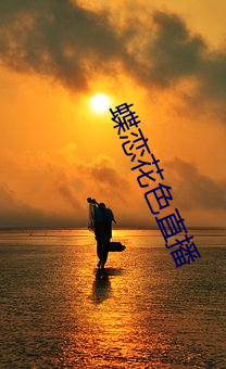 蝶恋花色直播
