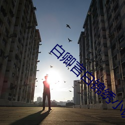 白(白)卿(卿)言白(白)锦绣小说全文(文)免(免)费阅读无弹窗(窗)