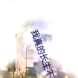 金年会 | 诚信至上金字招牌