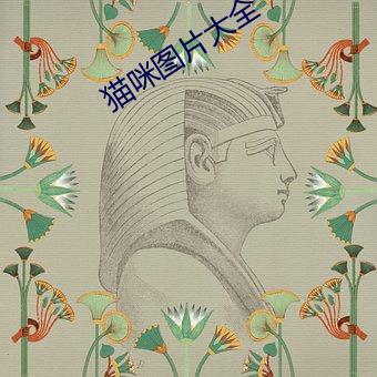 猫咪图片大全 （还口）