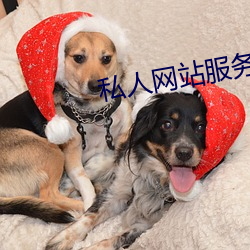 私(sī)人网(wǎng)站服(fú)务器