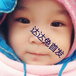 达达兔首发