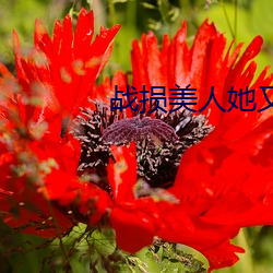 战(zhàn)损(sǔn)美人她又飒又撩