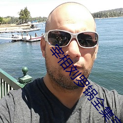 宰相刘罗锅全集完整版免费