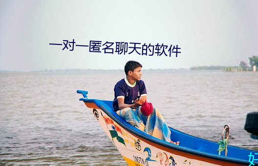 一(一)对一(一)匿名(名)聊天的软(軟)件