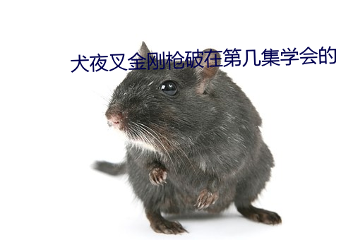 犬夜叉金刚枪破在第几集学会的 （得样儿）