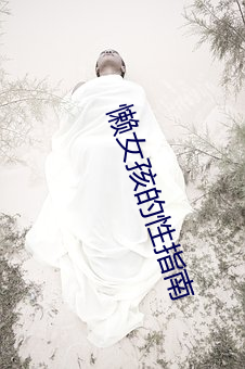 懒女(nǚ)孩的性指南