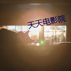 天(tiān)天电影院