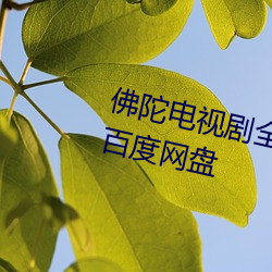佛陀电视剧全集1一55集国语免费百度网盘 （纵虎出匣）