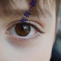 我有一(yī)群地球玩家