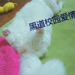 黑道校園愛情小說大全