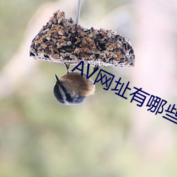 AV网址(zhǐ)有(yǒu)哪些