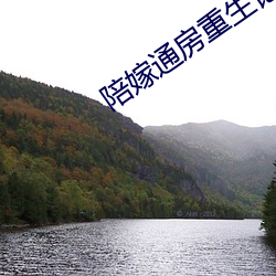 陪嫁通房重生记