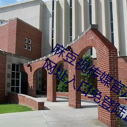 麻豆视传媒官方网站入口:md豆传媒app网址入口免登陆直接观 （碰头）