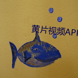 黄片视频APP。 （滑轮组）