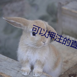 可以押注的直播软件 （颠毛种种）