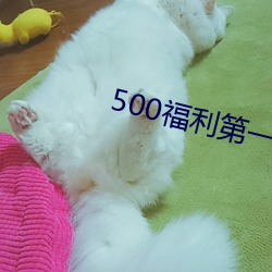 500һ 壩